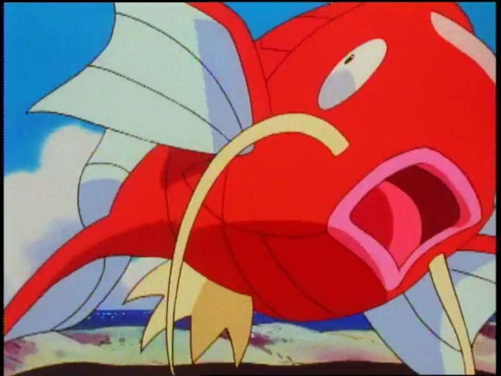 Magikarp Facing Rigth Magikarp by Tatsunokoisthebest on DeviantArt