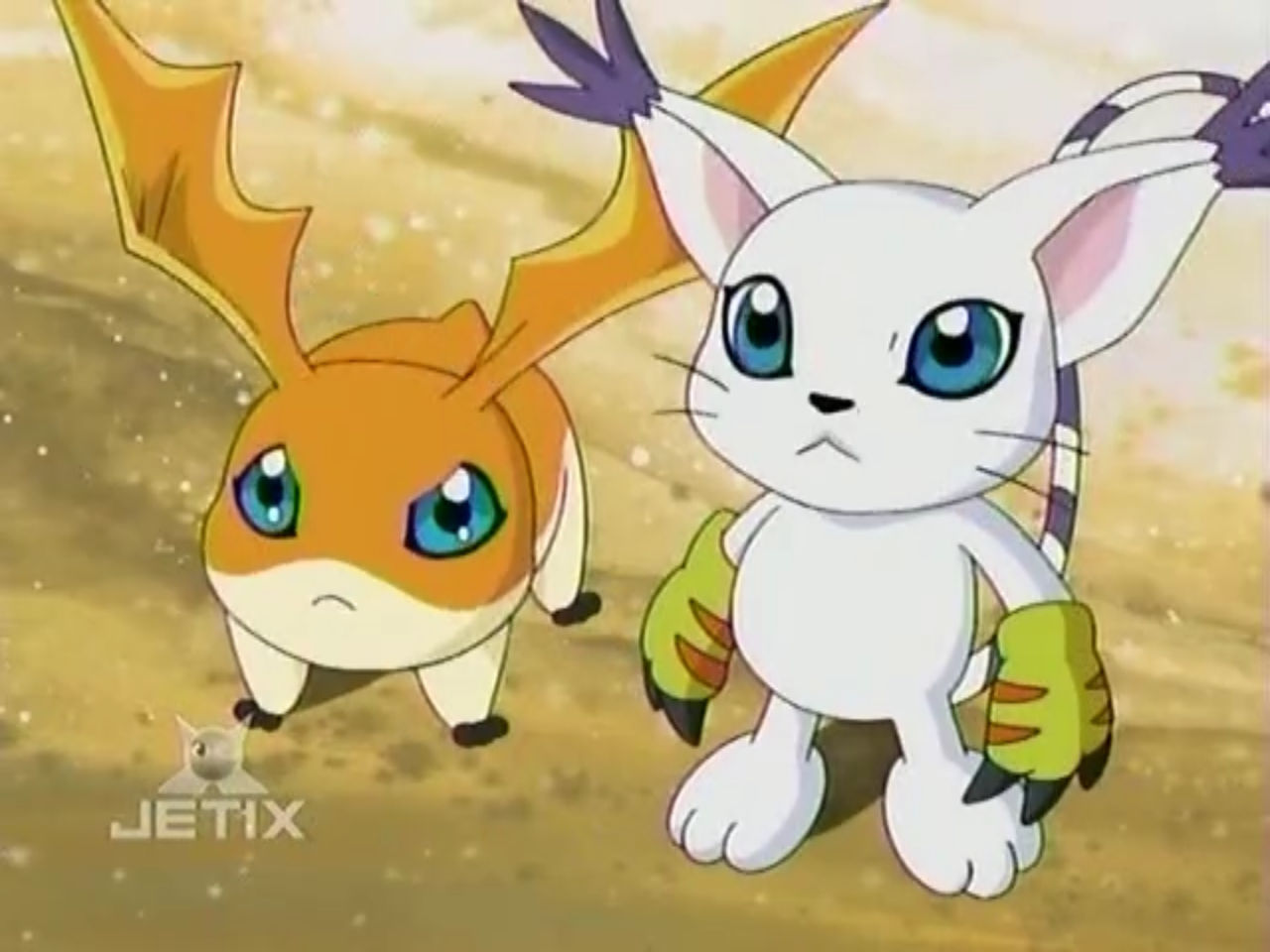 Fatamon Patamon and Gatomon by Tatsunokoisthebest on DeviantArt