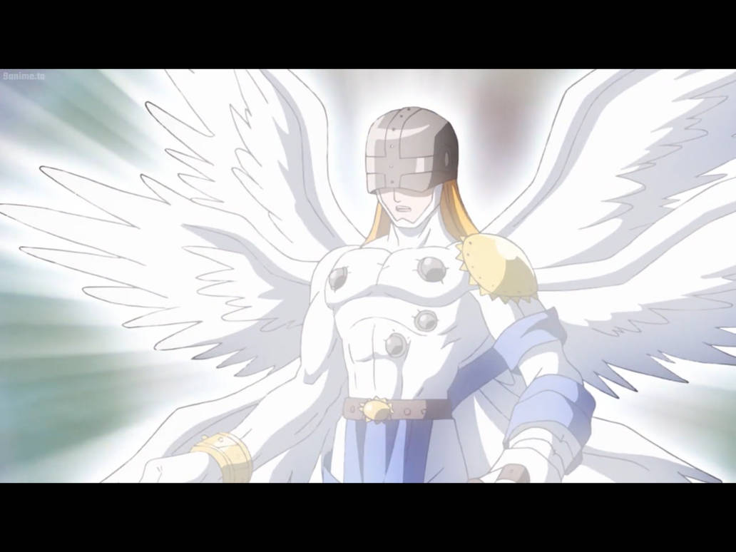 Angemon by Tatsunokoisthebest on DeviantArt