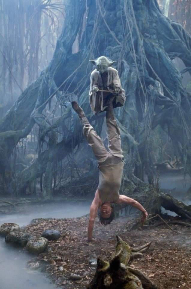 Jedi Training by Tatsunokoisthebest on DeviantArt
