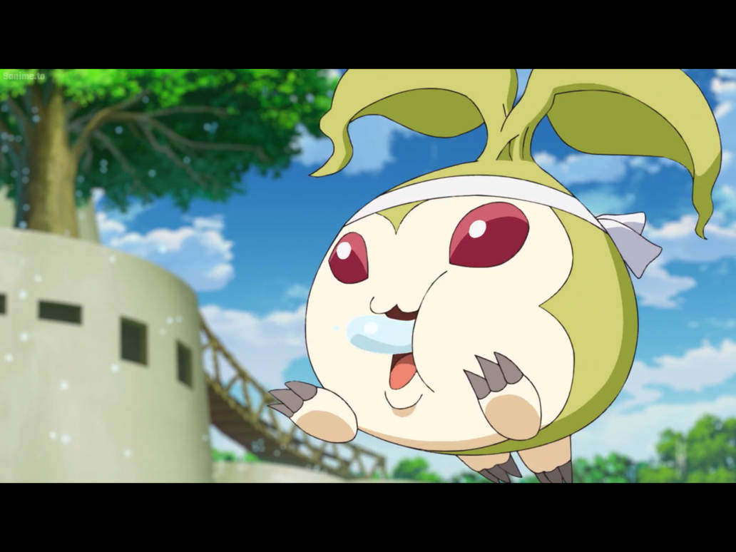 Tanemon by Tatsunokoisthebest on DeviantArt