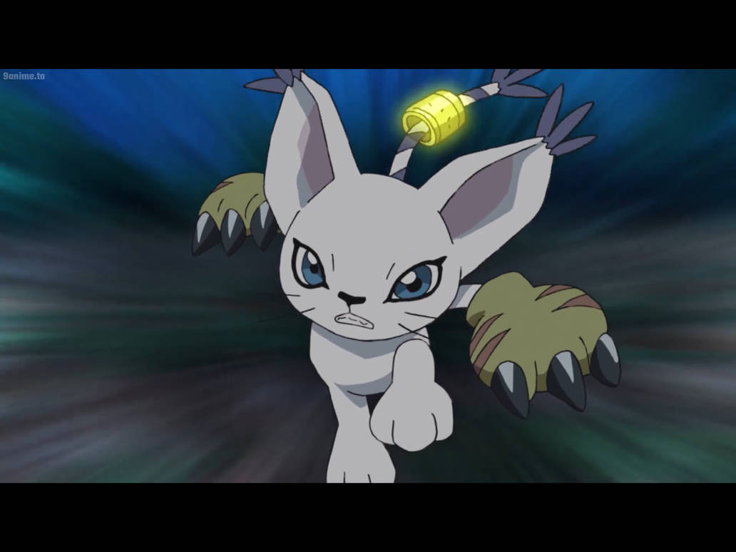 Botamon Attack Gatomon attacks! by Tatsunokoisthebest on DeviantArt