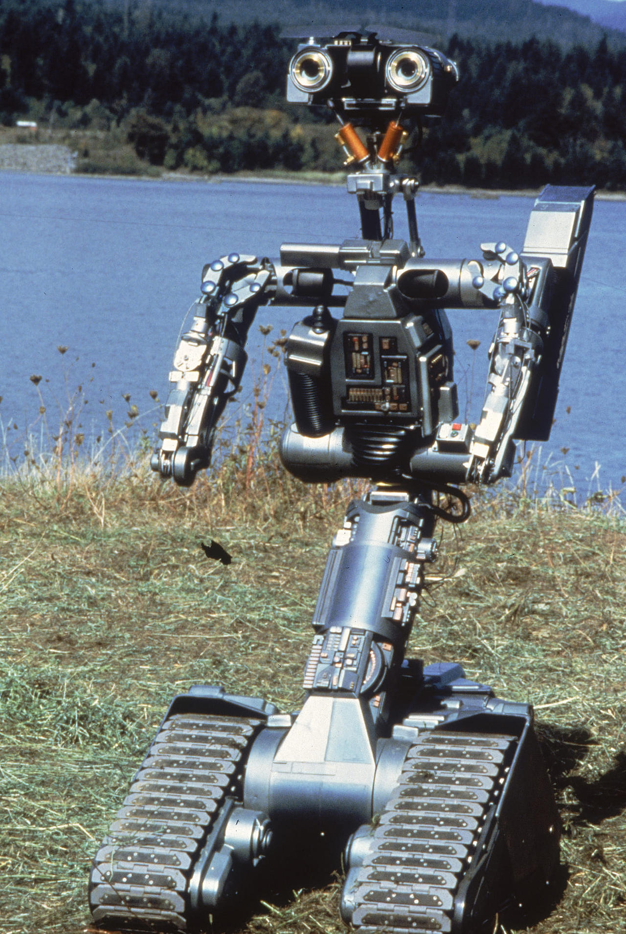 Johnny 5 Rabbit Johnny 5 by Tatsunokoisthebest on DeviantArt