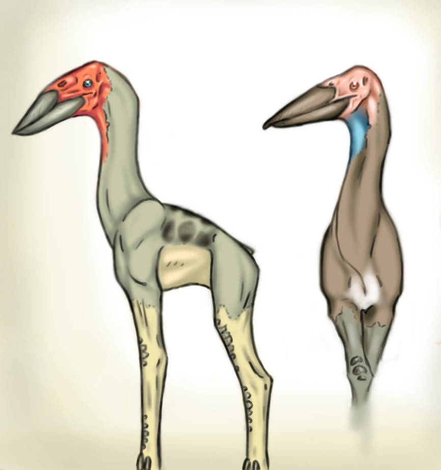 Lank revised by BardicSpoon