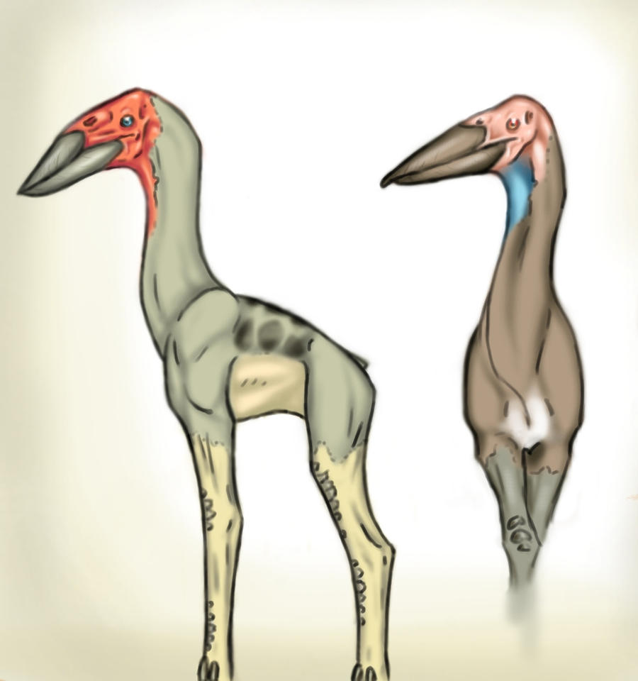 Lank revised by BardicSpoon