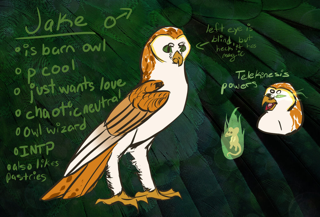 Jake by INTJay0724 on DeviantArt