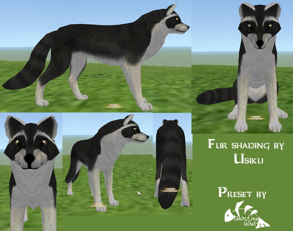 FH - Raccoon preset by GhostingHowl on DeviantArt