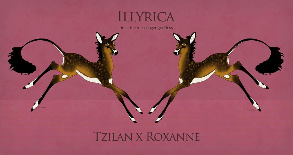 Fawn Design | Illyrica | Tzilan x Roxanne