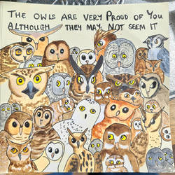 The owls are very proud of you