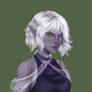DnD Star Elf (Wolf)