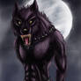 The Big bad Wolf