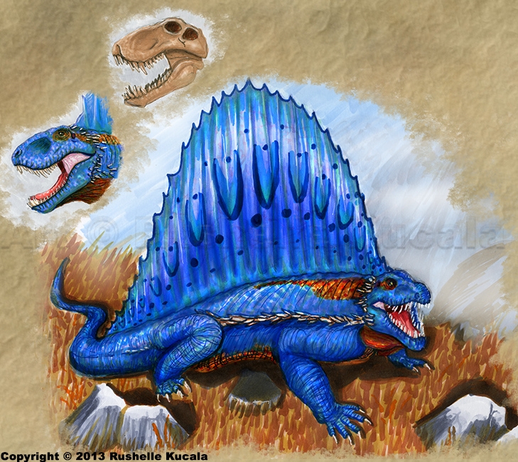 Dimetrodon