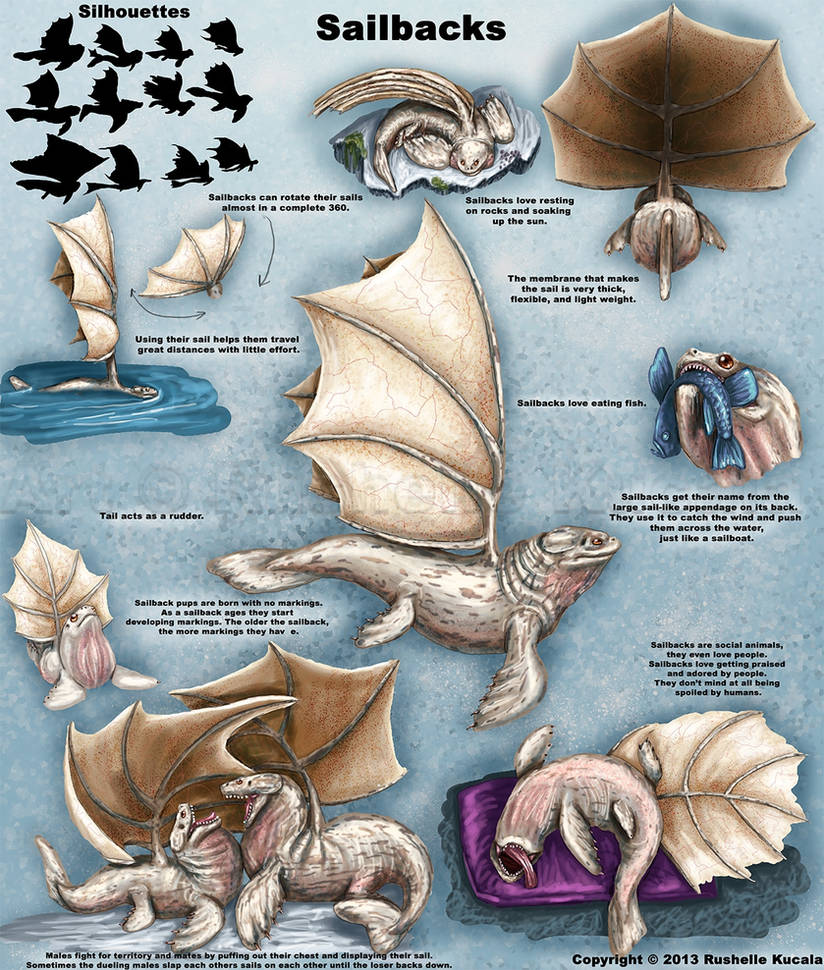 Sail Back Sailback Design Sheet by TheDragonofDoom on DeviantArt