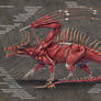 Western Dragon Muscle Anatomy