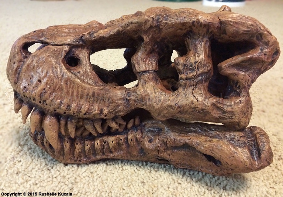 Tyrannosaurus Rex Skull Sculpture