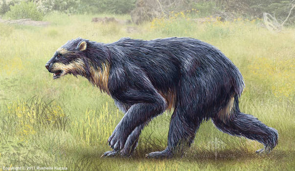 Arctodus Simus Restored