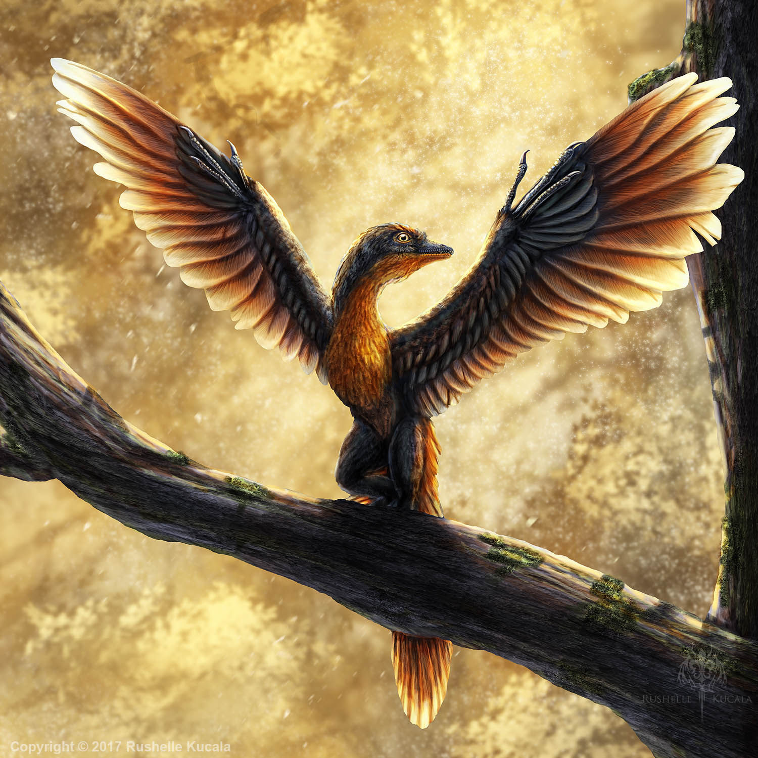 archaeopteryx-lithographica-commission-by-thedragonofdoom-on-deviantart