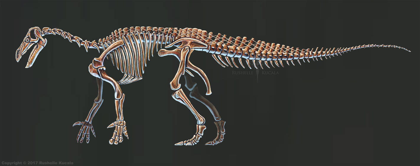 Iguanodon Skeleton Dinosaurs Hastings Museum And Art Gallery iguanodon-skeleton-dinosaurs-hastings-museum-and-art-gallery