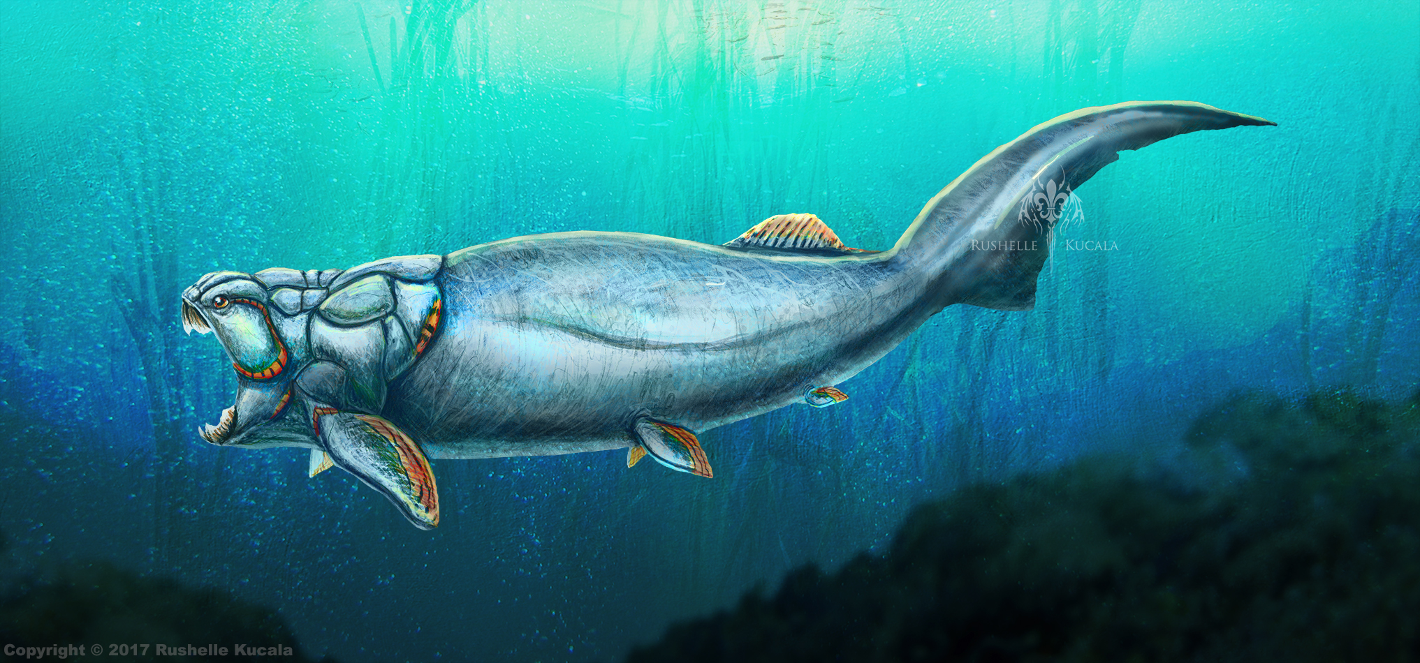 Dunkleosteus Terrelli Restored