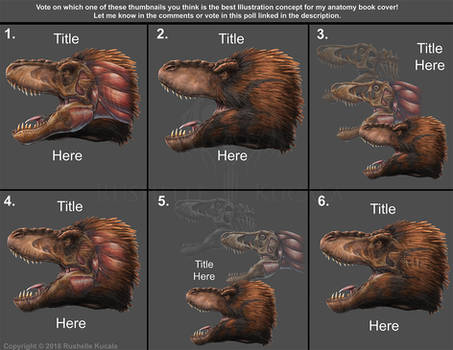 Anatomy Book Cover Concepts (And Poll)