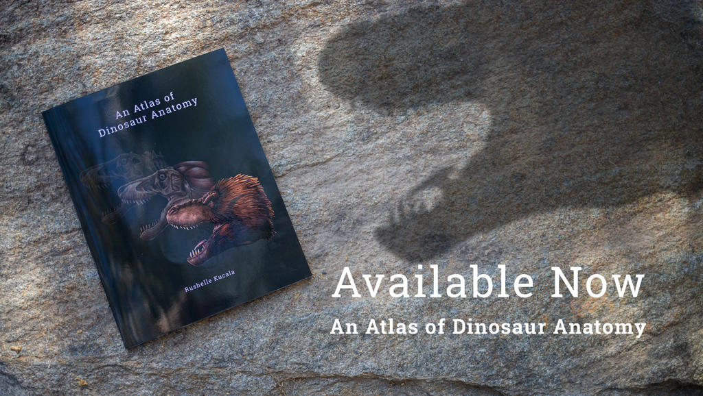 An Atlas of Dinosaur Anatomy Book Available Now