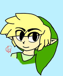 Toon Link