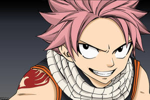 Natsu Dragonil 205 7