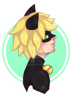 Chat Noir