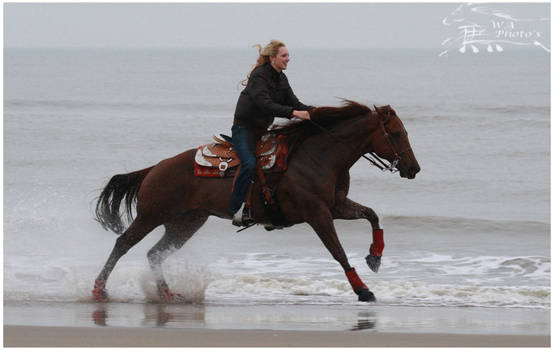 Doc on the beach