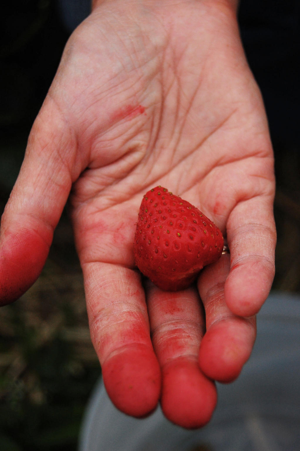 Red Hands