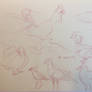 Gesture Drawing Practice: Birds, 30 seconds