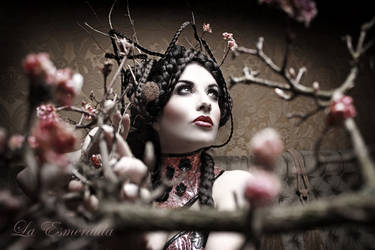 Blossom by la-esmeralda