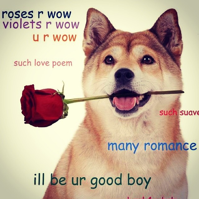 Doge 4 Valntine