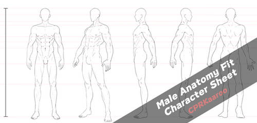 Male Anatomy Fit Character Sheet Reference