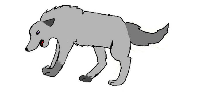 wolf