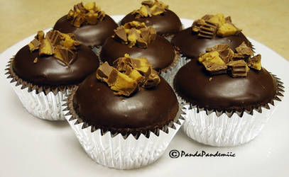 Truffle Cupcakes