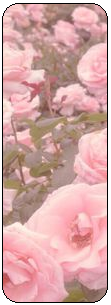 dc86kb7-4a027668-ac0b-48e1-93ba-cf45e654