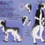 Kellin reference sheet