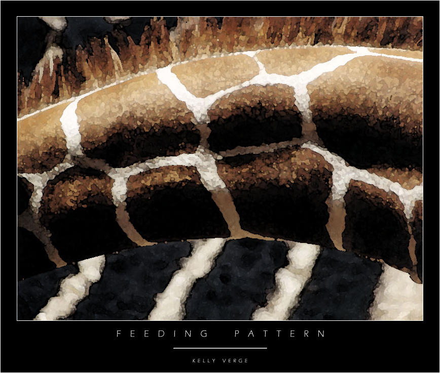 Feeding Patterns by oneofem on DeviantArt