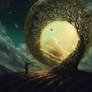 TRAVERSING THE UNIVERSE