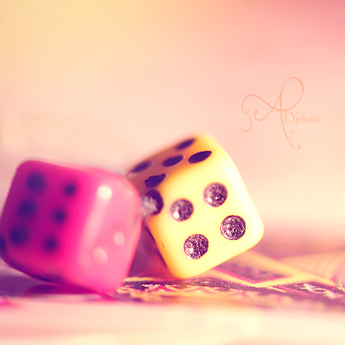 Roll of the Dice