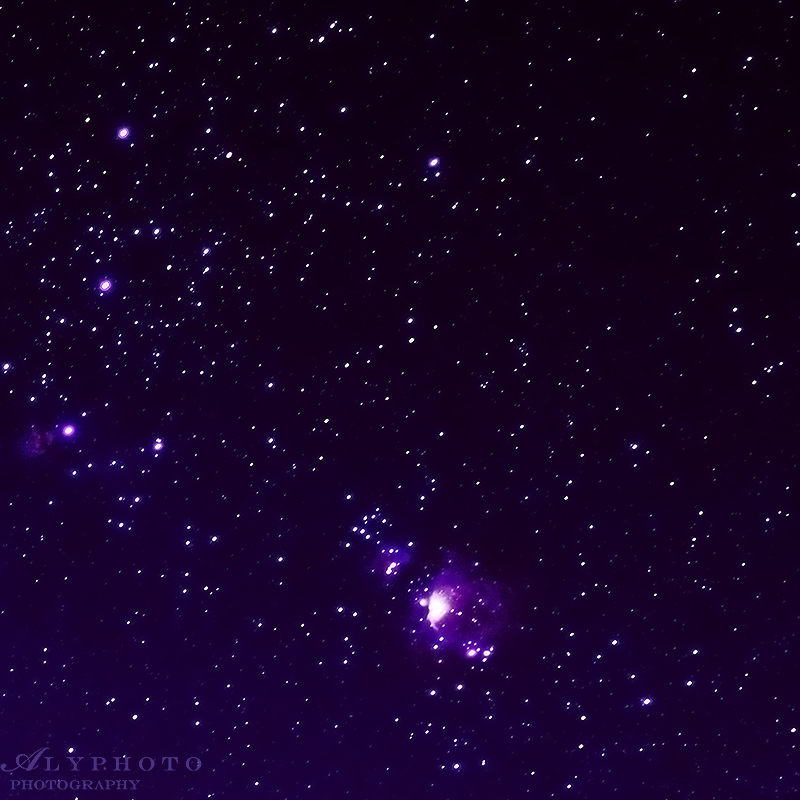 Orion -