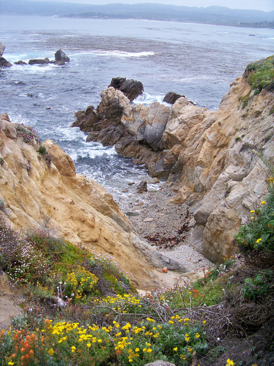 Carmel California  trail 4