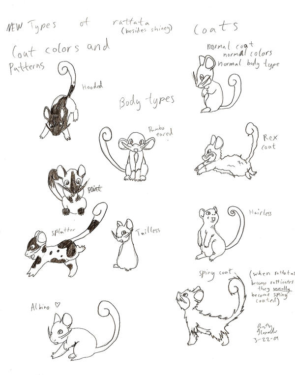 Human Ratta new types of rattata by Tatta-doodles on DeviantArt