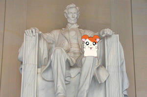 Hamtaro with Lincoln