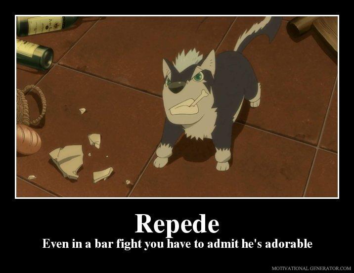 Repede