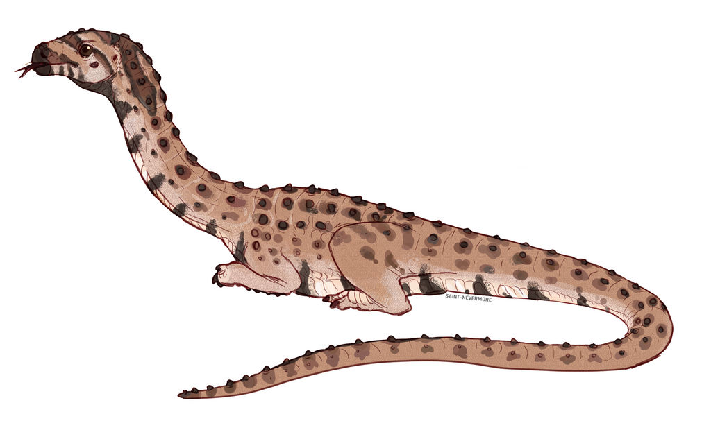 Baby Python Dragon by SaintNevermore on DeviantArt