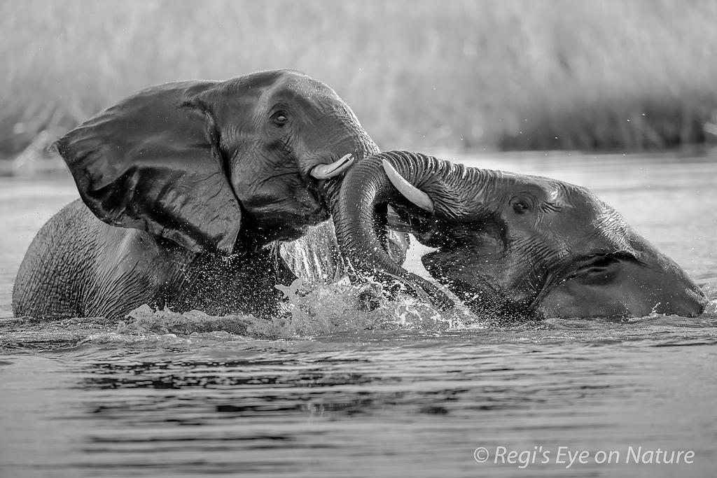 Morning bathing