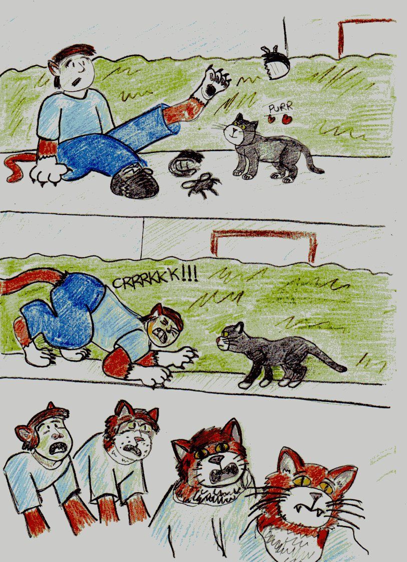 Human To Cat Transformation