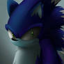 Sonic the Werehog